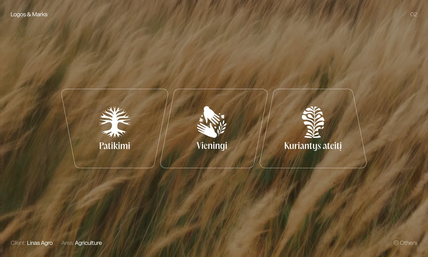 2024 metų
išrinkti logotipai